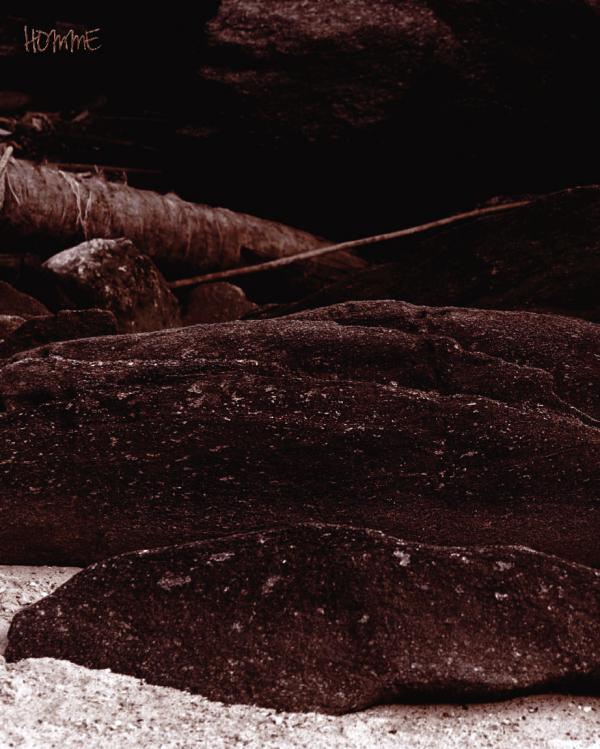 Homme-6-精壯美男魚